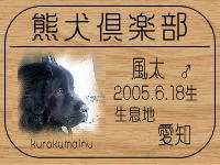 �I�[�i�[�́A�����ςς���ł���